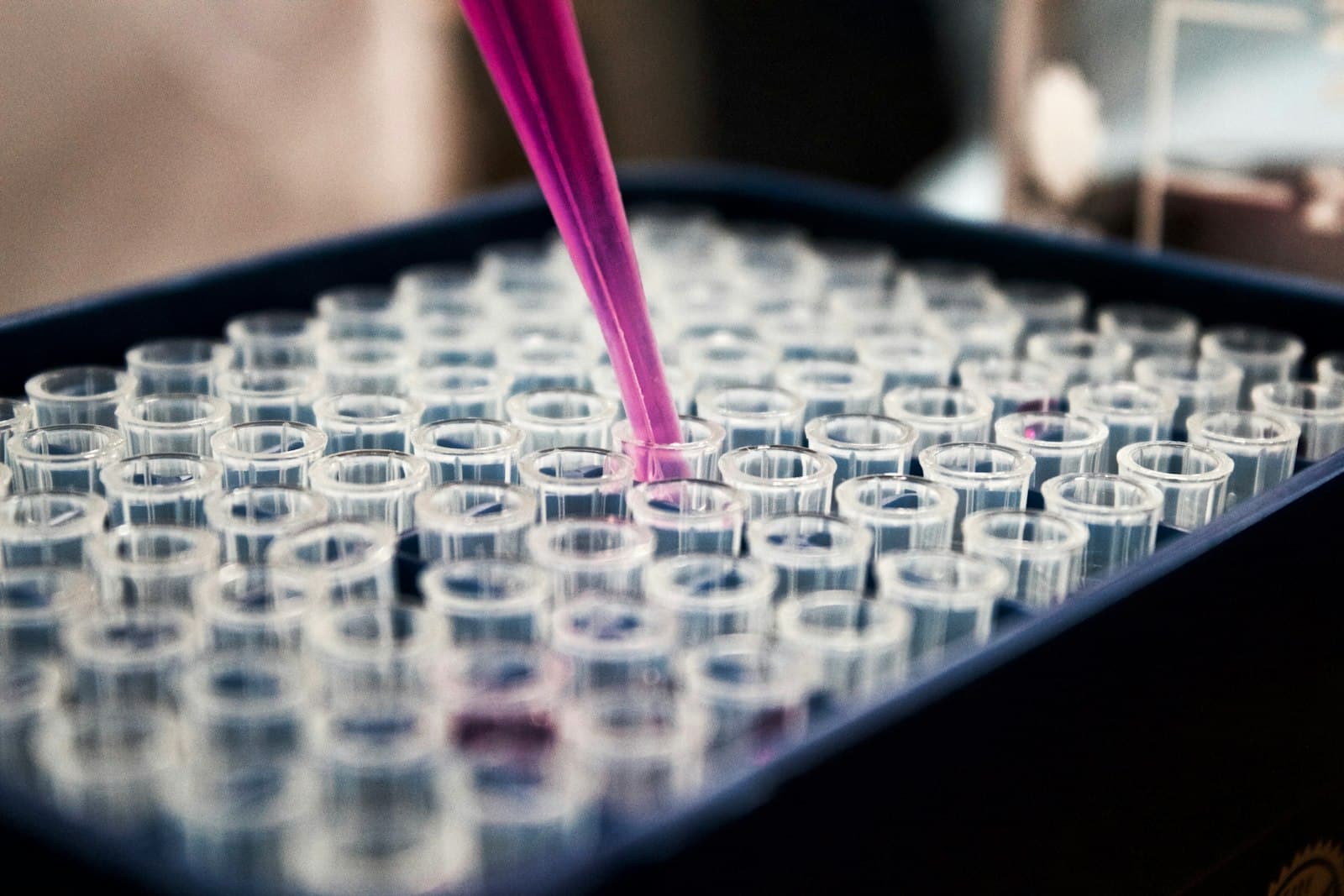 Laboratuvarda tüp rafına sıvı aktaran pipet